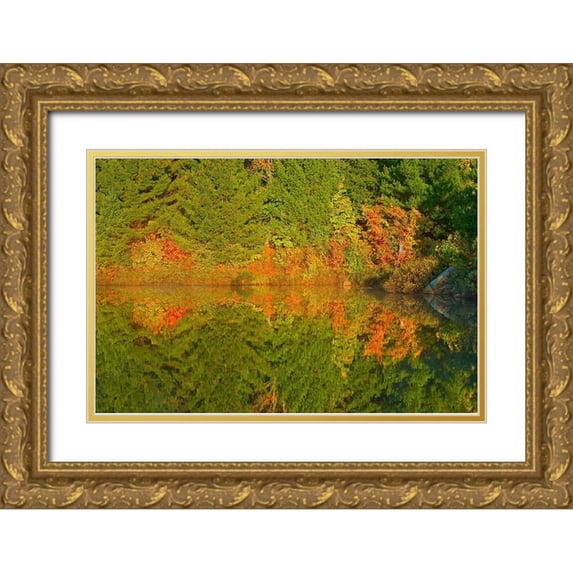 Jaynes Gallery 32x23 Gold Ornate Wood Framed with Double Matting Museum Art Print Titled - Canada-Ontario-Sudbury Autumn colors reflect in Lake Laurentian at sunrise