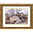 thumbnail image 1 of Jaynes Gallery 32x23 Gold Ornate Wood Framed with Double Matting Museum Art Print Titled - Colorado-Mt Evans Rocky Mountain bighorn sheep ewe and lamb resting, 1 of 4