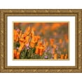 thumbnail image 1 of Jaynes Gallery 32x23 Gold Ornate Wood Framed with Double Matting Museum Art Print Titled - California-Mojave Desert California poppies, 1 of 4