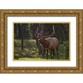 thumbnail image 1 of Jaynes Gallery 32x23 Gold Ornate Wood Framed with Double Matting Museum Art Print Titled - Canada-Alberta-Jasper National Park Male elk calling, 1 of 4