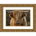thumbnail image 1 of Jaynes Gallery 32x23 Gold Ornate Wood Framed with Double Matting Museum Art Print Titled - Scotland-The Isle of Skye Close-up of highland cow, 1 of 4