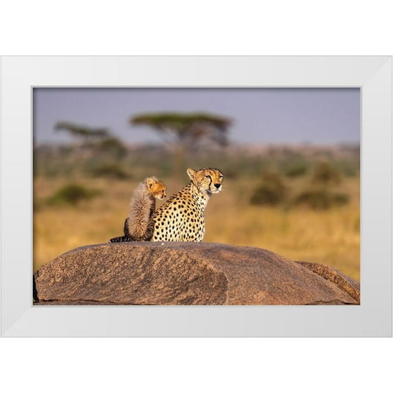 Jaynes Gallery 32x23 White Modern Wood Framed Museum Art Print Titled - Africa-Tanzania-Serengeti National Park Mother cheetah and baby