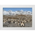thumbnail image 1 of Jaynes Gallery 32x23 White Modern Wood Framed Museum Art Print Titled - Antarctica-South Georgia Island-St Andrews Bay Landscape with mountain and king penguin colony, 1 of 4
