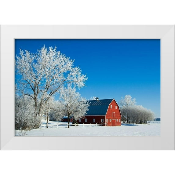 Jaynes Gallery 32x23 White Modern Wood Framed Museum Art Print Titled - Canada-Manitoba-Grande Pointe Hoarfrost and red barn in winter