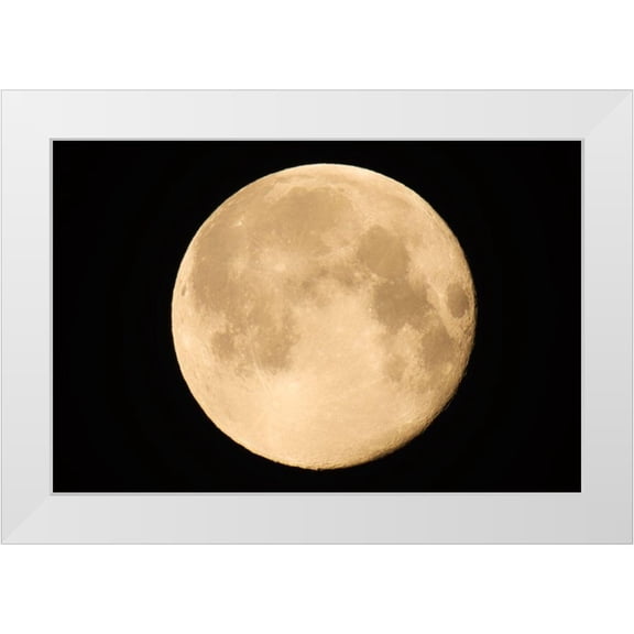 Jaynes Gallery 32x23 White Modern Wood Framed Museum Art Print Titled - Canada-Manitoba-Winnipeg Close-up of full moon
