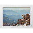 thumbnail image 1 of Jaynes Gallery 32x23 White Modern Wood Framed Museum Art Print Titled - Colorado-Mt Evans Mountain goat on rocky overlook, 1 of 4