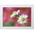 thumbnail image 1 of Jaynes Gallery 32x23 White Modern Wood Framed Museum Art Print Titled - Nevada Monte Casino flowers close-up, 1 of 4