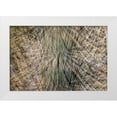 thumbnail image 1 of Jaynes Gallery 32x23 White Modern Wood Framed Museum Art Print Titled - USA-Arizona-Phoenix-Yucca cactus abstract, 1 of 4