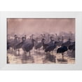 thumbnail image 1 of Jaynes Gallery 32x23 White Modern Wood Framed Museum Art Print Titled - USA-New Mexico-Bernardo Wildlife Management Area-Sandhill cranes and foggy sunrise, 1 of 4