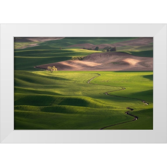Jaynes Gallery 32x23 White Modern Wood Framed Museum Art Print Titled - USA-Washington-Palouse-Rolling spring wheat fields