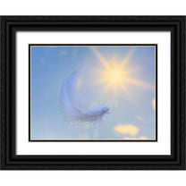 Jaynes Gallery 32x25 Black Ornate Wood Framed with Double Matting Museum Art Print Titled - Washington State-Seabeck Close-up of falling feather