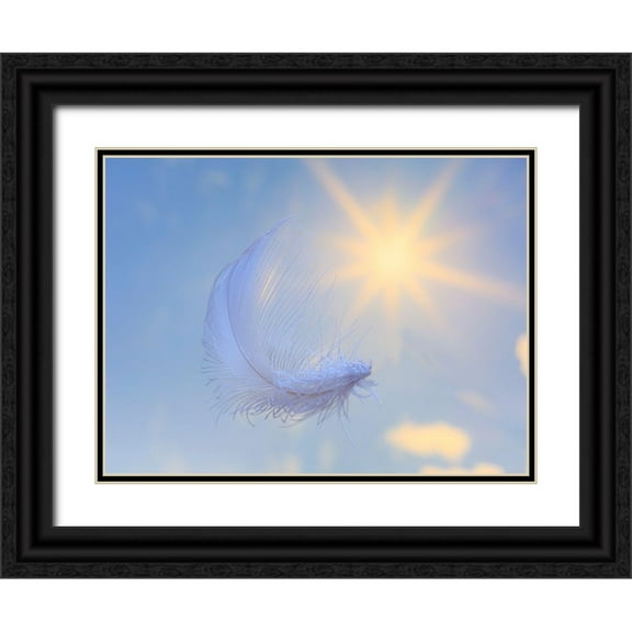 Jaynes Gallery 32x25 Black Ornate Wood Framed with Double Matting Museum Art Print Titled - Washington State-Seabeck Close-up of falling feather