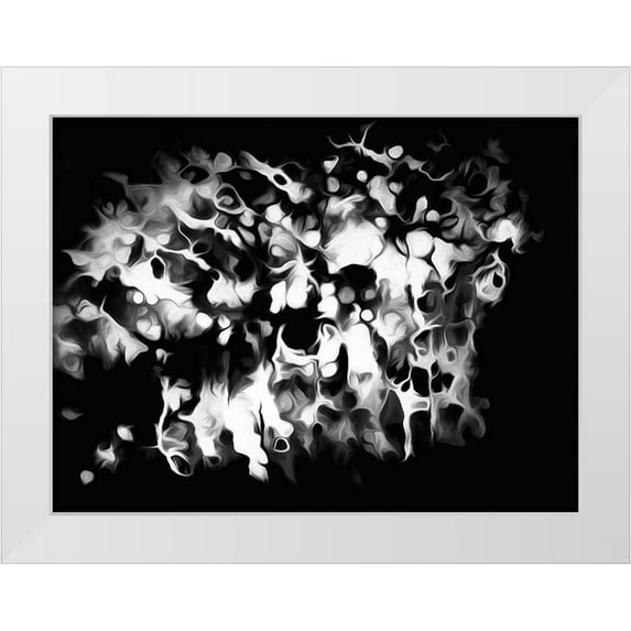 Jaynes Gallery 32x25 White Modern Wood Framed Museum Art Print Titled - Oregon Abstract of black and white photograph