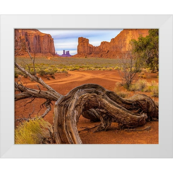 Jaynes Gallery 32x26 White Modern Wood Framed Museum Art Print Titled - Utah-Monument Valley Landscape and dead tree