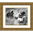 thumbnail image 1 of Jaynes, William D. 24x20 Gold Ornate Wood Framed with Double Matting Museum Art Print Titled - Prairie Run, 1 of 4