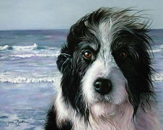 Jaz Canvas Art - Jane Booth (24 x 30)