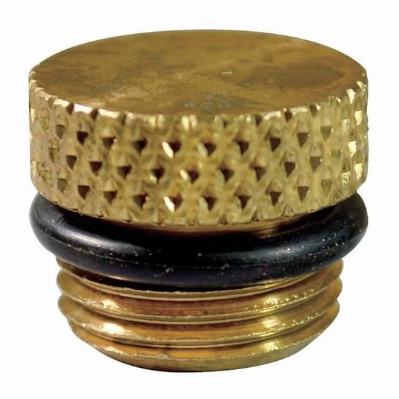 Oil Fill Plug with O-Ring PR-22