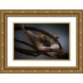 thumbnail image 1 of Jealousy 14x11 Gold Ornate Wood Framed with Double Matting Museum Art Print Titled - Tamandua, 1 of 4