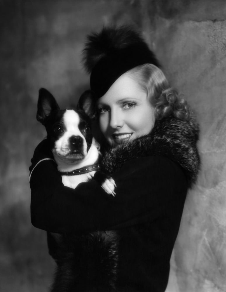 Jean Arthur With Boston Terrier Canvas Art -  (16 x 20)