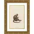 thumbnail image 1 of Jean-Baptiste Audebert 11x14 Gold Ornate Wood Frame and Double Matted Museum Art Print Titled - You Know (1797), 1 of 4