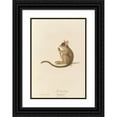 thumbnail image 1 of Jean-Baptiste Audebert 14x18 Black Ornate Wood Framed Double Matted Museum Art Print Titled - The Reactive (1797), 1 of 5