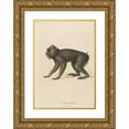 thumbnail image 1 of Jean-Baptiste Audebert 14x18 Gold Ornate Wood Frame and Double Matted Museum Art Print Titled - Le Mandll (1797), 1 of 4