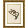 thumbnail image 1 of Jean-Baptiste Audebert 17x24 Gold Ornate Framed and Double Matted Museum Art Print Titled - Le Griset (1797), 1 of 4