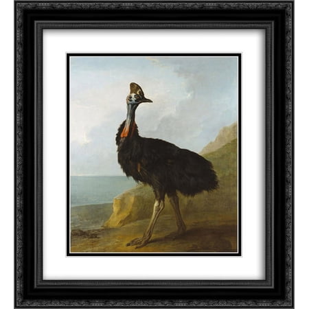 Jean Baptiste Oudry 2x Matted 20x24 Black Ornate Framed Art Print 'Cassowary'