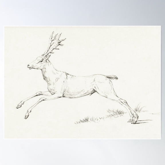 Jean Bernard - Stag Sketch Poster Wall Art, Modern Wall Decor For Living Room Bedroom, 8x12 UNFRAMED