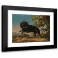 thumbnail image 1 of Jean-Jacques Bachelier 14x12 Black Modern Framed Museum Art Print Titled - Mimi, the Favorite Dog of Madame De Pompadour (1762), 1 of 5