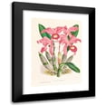 thumbnail image 1 of Jean Jules Linden 11x14 Black Modern Framed Museum Art Print Titled - Cattleya Lawrenceana (1885-1906), 1 of 5