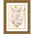 thumbnail image 1 of Jean Jules Linden 11x14 Gold Ornate Wood Frame and Double Matted Museum Art Print Titled - Cattleya Maxima (1885-1906), 1 of 4