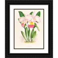 thumbnail image 1 of Jean Jules Linden 15x18 Black Ornate Wood Framed Double Matted Museum Art Print Titled - Cattleya Mendeli (1885-1906), 1 of 5