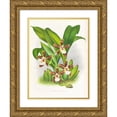 thumbnail image 1 of Jean Jules Linden 15x18 Gold Ornate Wood Frame and Double Matted Museum Art Print Titled - Zygopetalum Jorisianum (1885-1906), 1 of 4