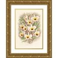 thumbnail image 1 of Jean Jules Linden 18x24 Gold Ornate Framed and Double Matted Museum Art Print Titled - Dendrobium Falconeri (1885-1906), 1 of 4