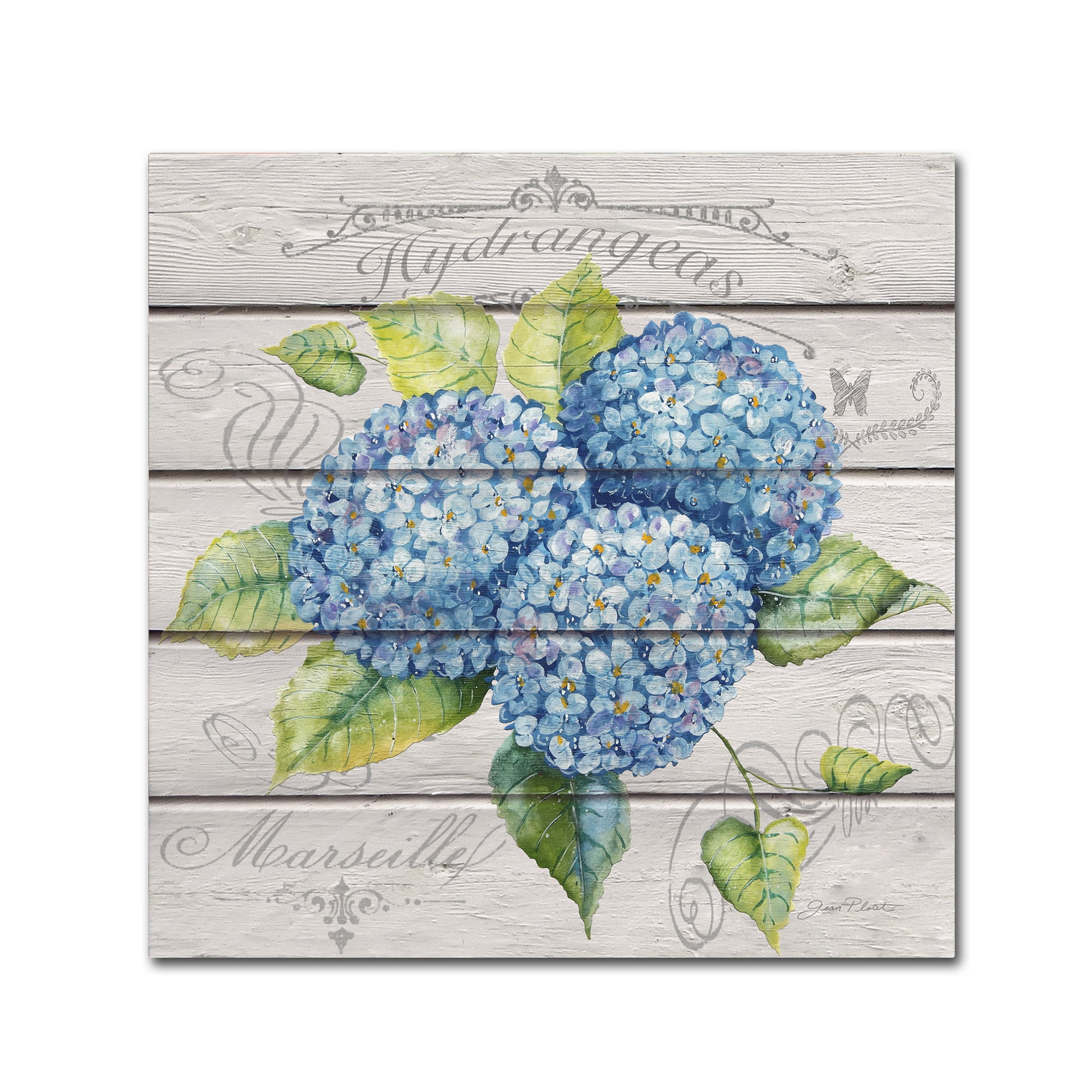 Jean Plout Blue Hydrangeas Canvas Art with Floater Frame