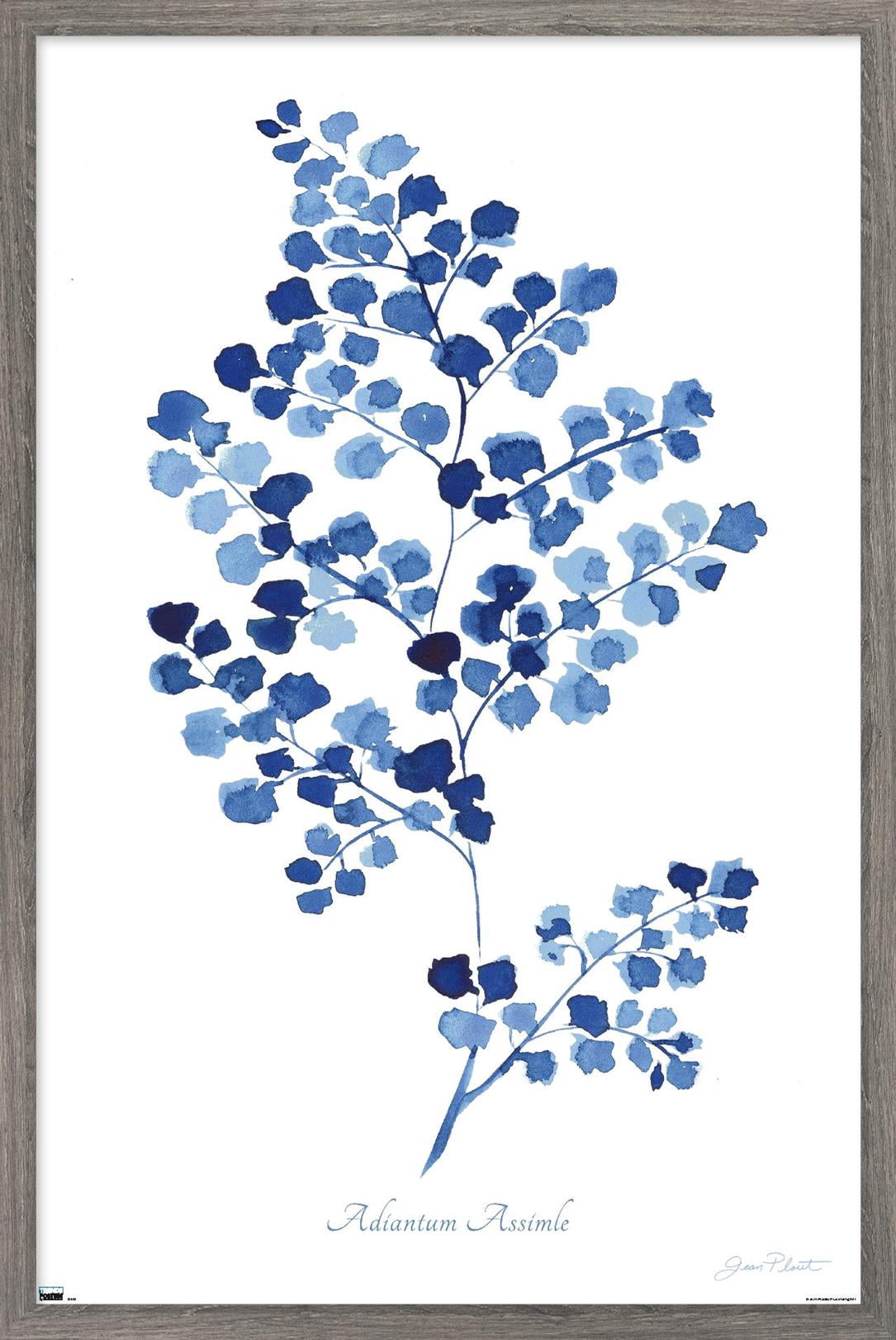 Jean Plout - Indigo Botanical Adiantum Assimle Wall Poster, 14.725" x 22.375" Framed