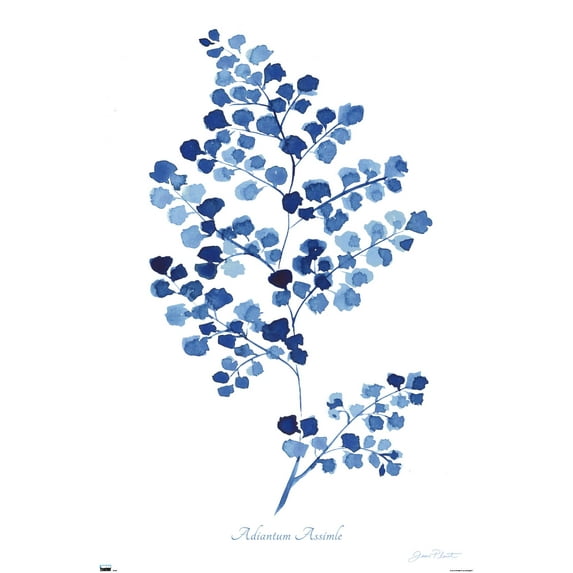 Jean Plout - Indigo Botanical Adiantum Assimle Wall Poster, 14.725" x 22.375"