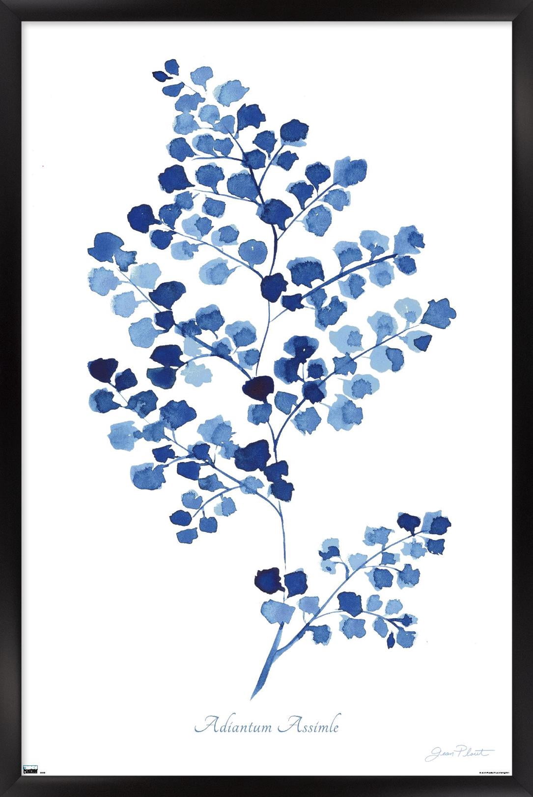 Jean Plout - Indigo Botanical Adiantum Assimle Wall Poster, 22.375" x 34" Framed