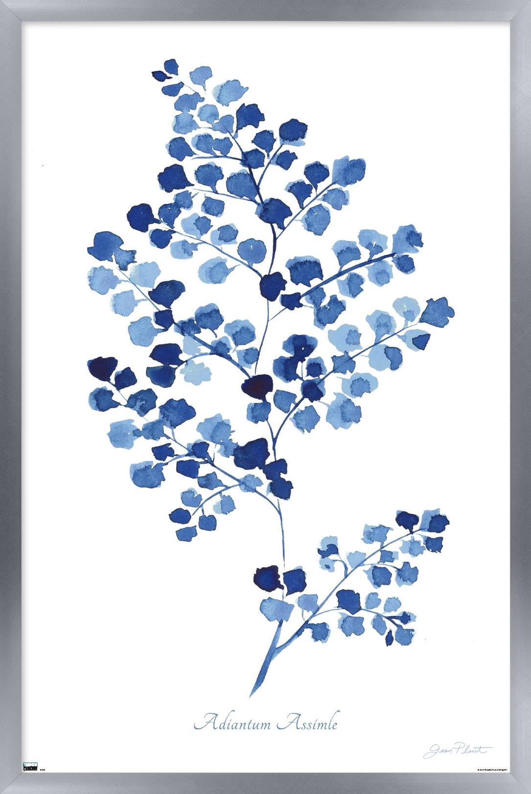 Jean Plout - Indigo Botanical Adiantum Assimle Wall Poster, 22.375" x 34" Framed