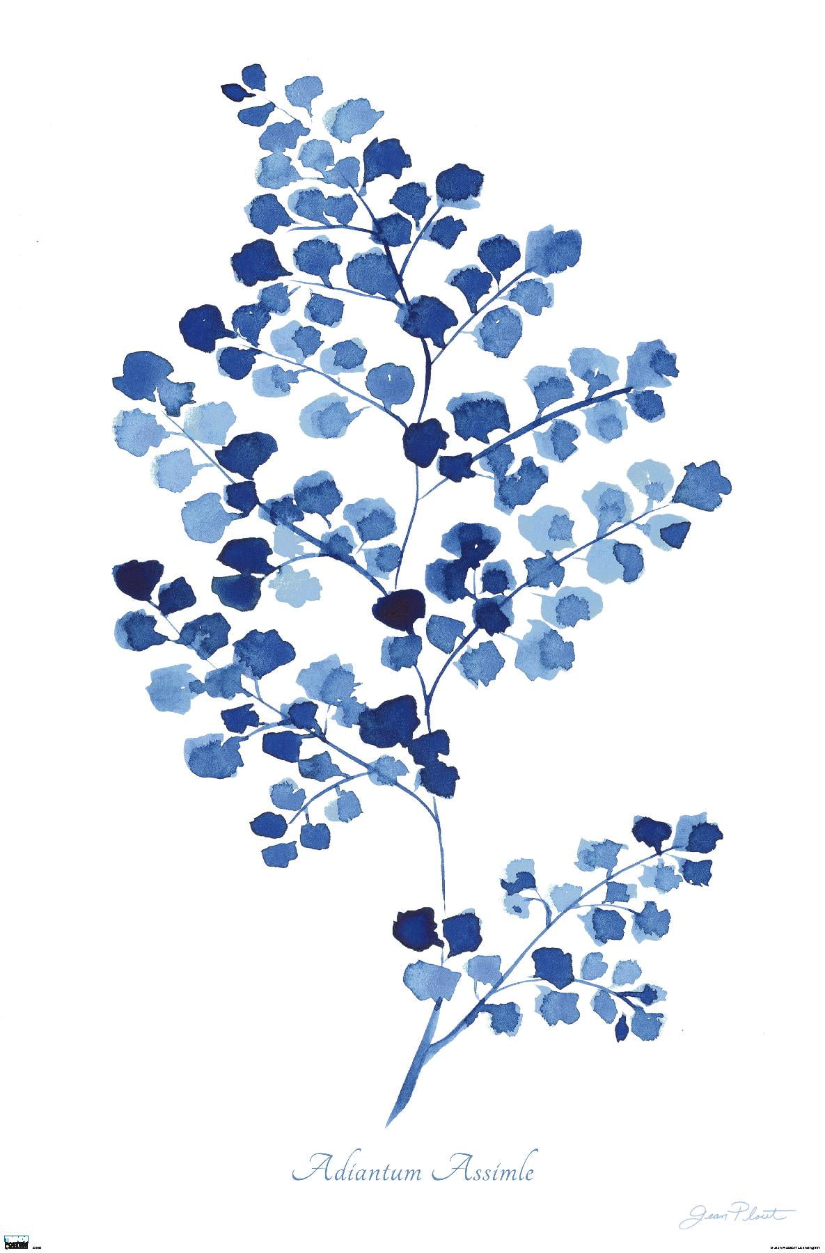 Jean Plout - Indigo Botanical Adiantum Assimle Wall Poster, 22.375" x 34"