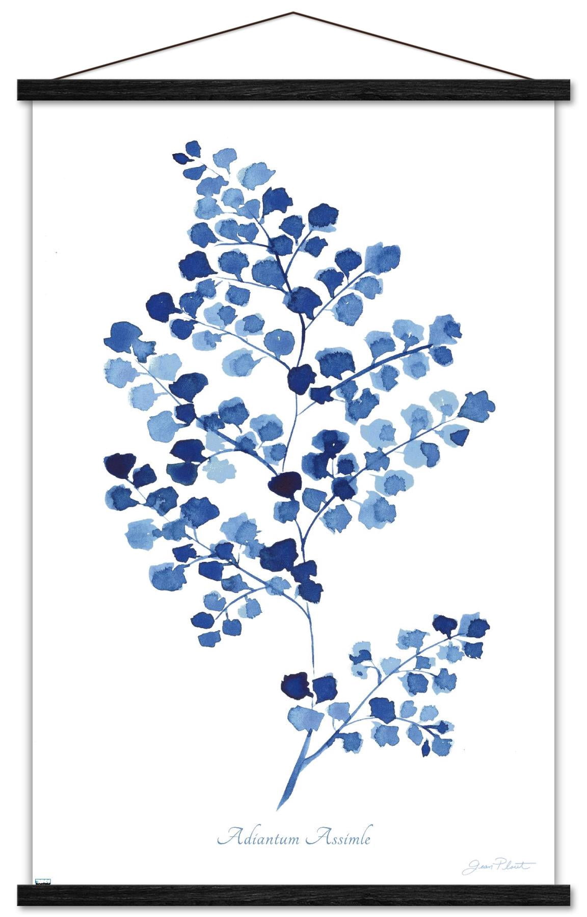 Jean Plout - Indigo Botanical Adiantum Assimle Wall Poster with Magnetic Frame, 22.375" x 34"