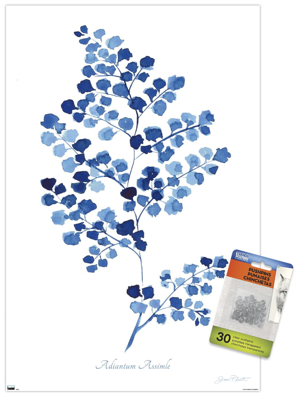 Jean Plout - Indigo Botanical Adiantum Assimle Wall Poster with Push Pins, 14.725" x 22.375"