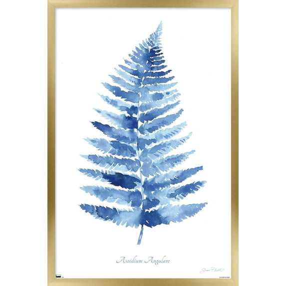 Jean Plout - Indigo Botanical Asoidium Angulare Wall Poster, 14.725" x 22.375" Framed