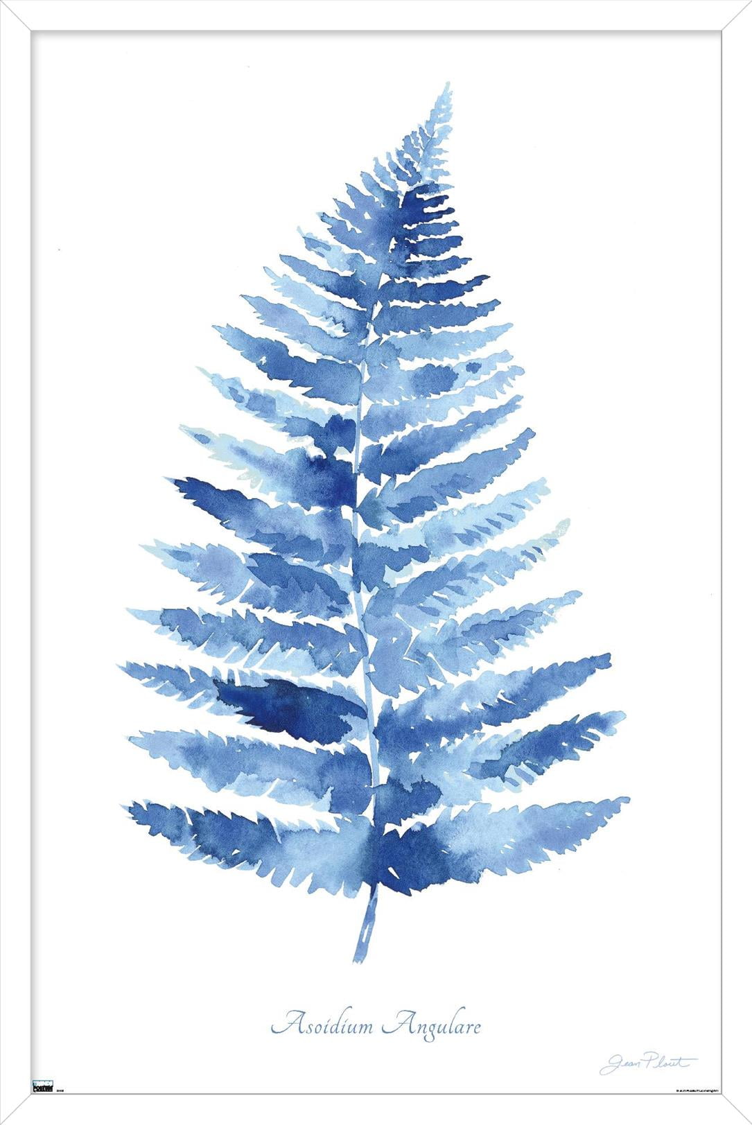 Jean Plout - Indigo Botanical Asoidium Angulare Wall Poster, 14.725" x 22.375" Framed