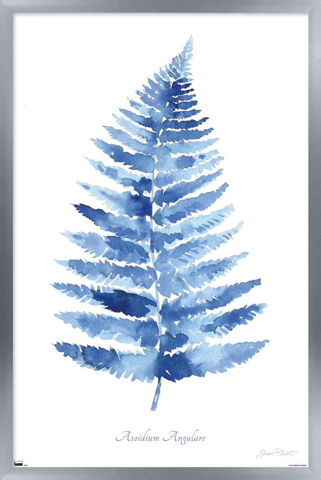 Jean Plout - Indigo Botanical Asoidium Angulare Wall Poster, 14.725" x 22.375" Framed