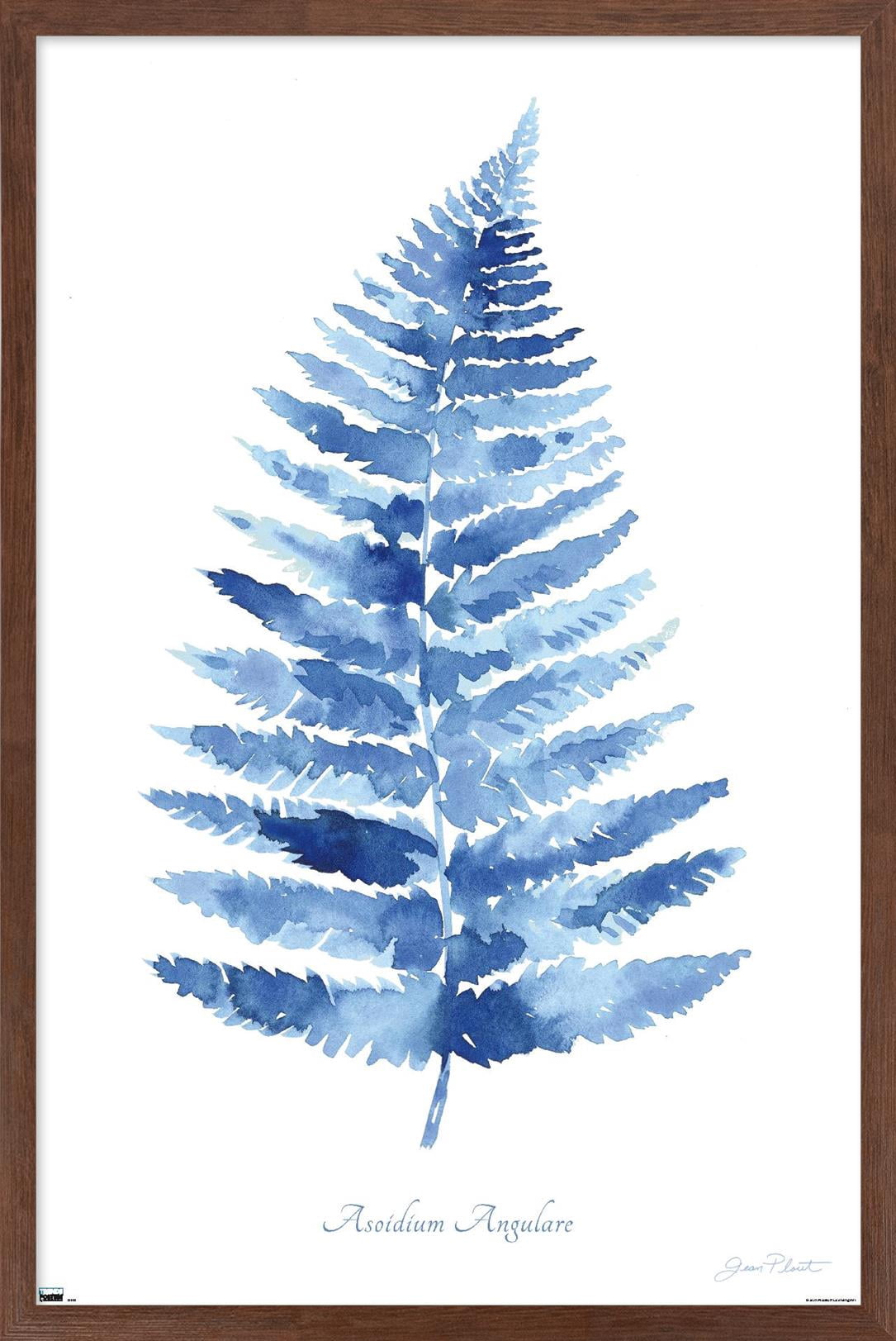 Jean Plout - Indigo Botanical Asoidium Angulare Wall Poster, 22.375" x 34" Framed