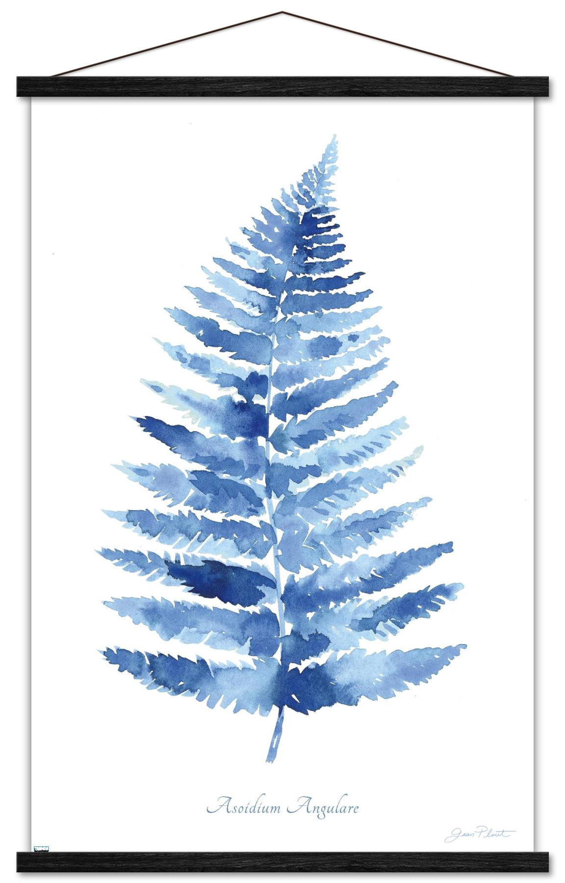 Jean Plout - Indigo Botanical Asoidium Angulare Wall Poster with Magnetic Frame, 22.375" x 34"