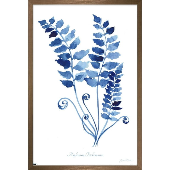 Jean Plout - Indigo Botanical Asplenium Trichomanes Wall Poster, 14.725" x 22.375" Framed