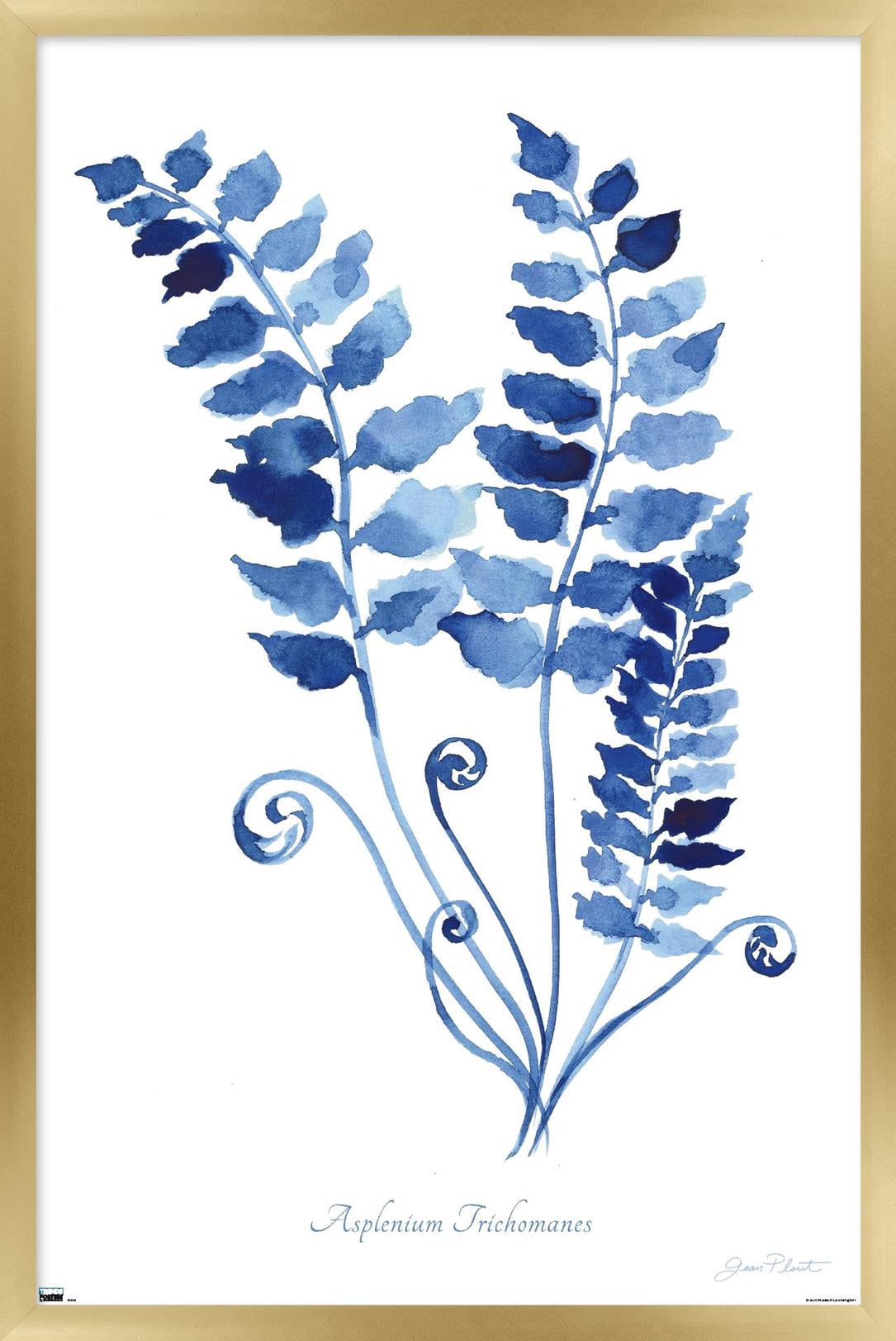 Jean Plout - Indigo Botanical Asplenium Trichomanes Wall Poster, 22.375" x 34" Framed